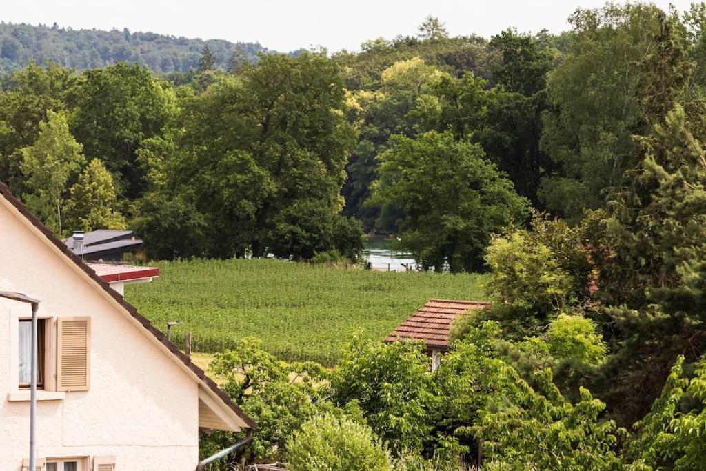 Luxury Apartment On The Rhein Busingen am Hochrhein Zewnętrze zdjęcie