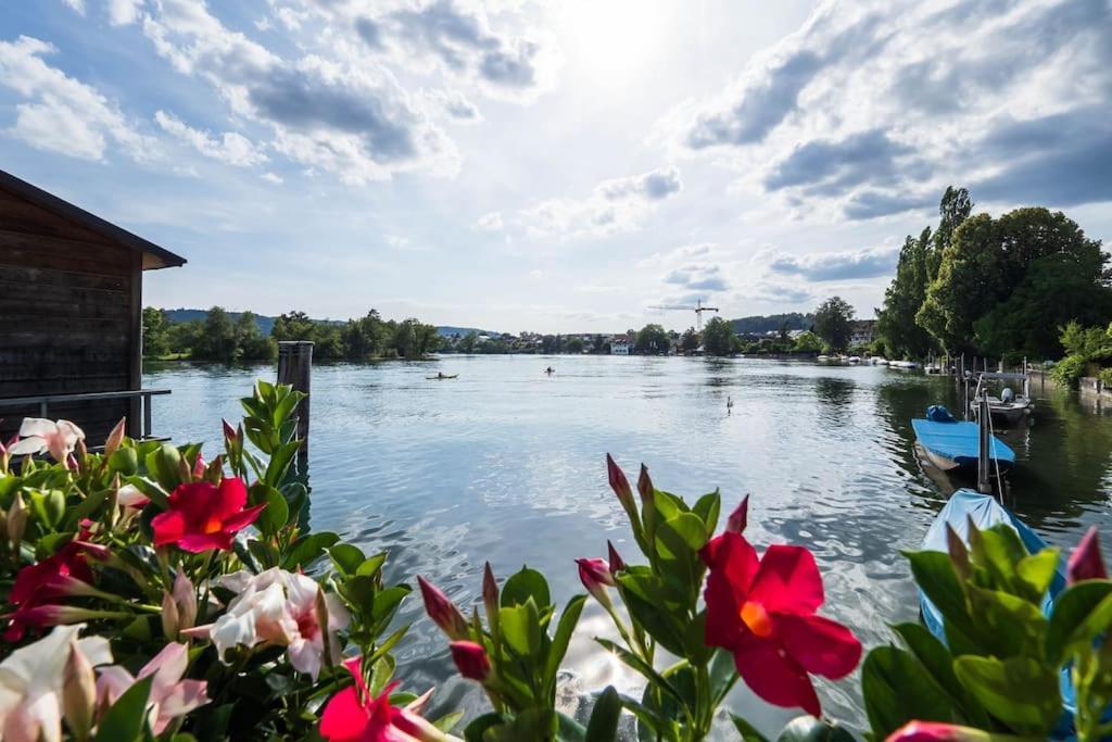Luxury Apartment On The Rhein Busingen am Hochrhein Zewnętrze zdjęcie