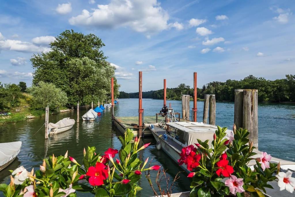 Luxury Apartment On The Rhein Busingen am Hochrhein Zewnętrze zdjęcie