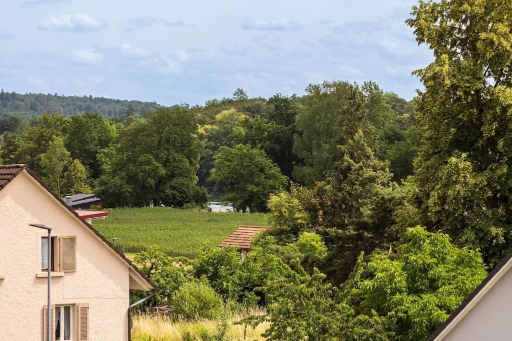 Luxury Apartment On The Rhein Busingen am Hochrhein Zewnętrze zdjęcie