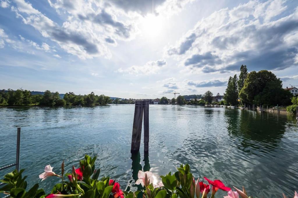 Luxury Apartment On The Rhein Busingen am Hochrhein Zewnętrze zdjęcie