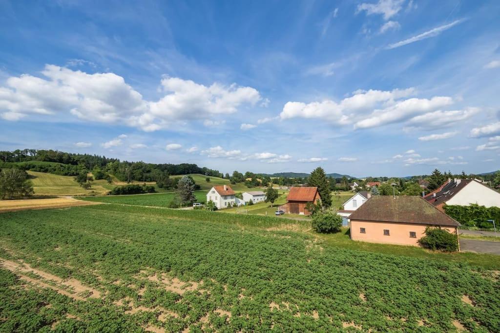 Luxury Apartment On The Rhein Busingen am Hochrhein Zewnętrze zdjęcie